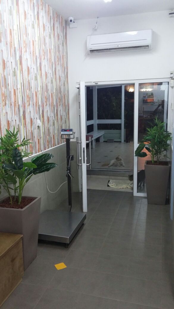 Artificial Planting Project for Veterinary Clinic 01
