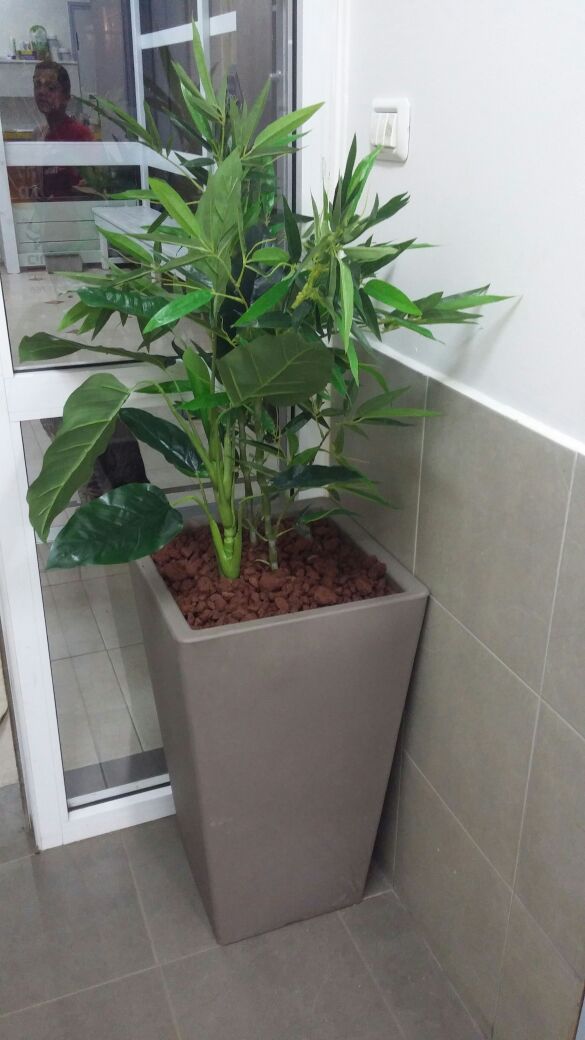 Artificial Planting Project for Veterinary Clinic 06