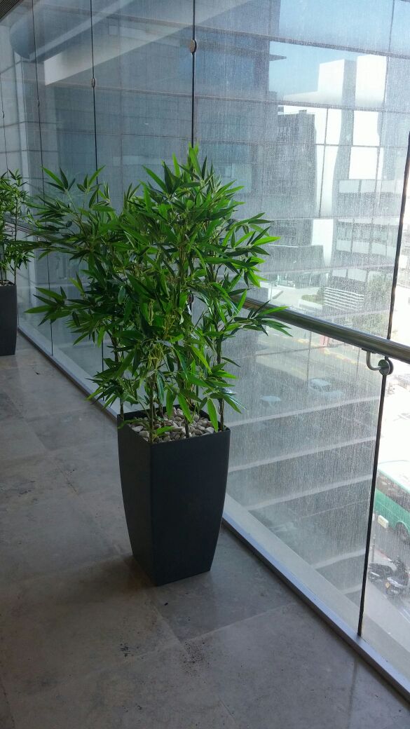 Artificial plants for offices 01