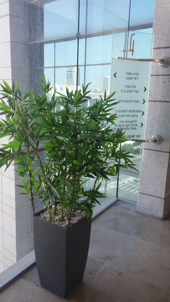 Artificial plants for offices 03