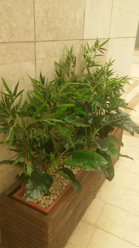 Artificial plants to the business center kfar saba 01