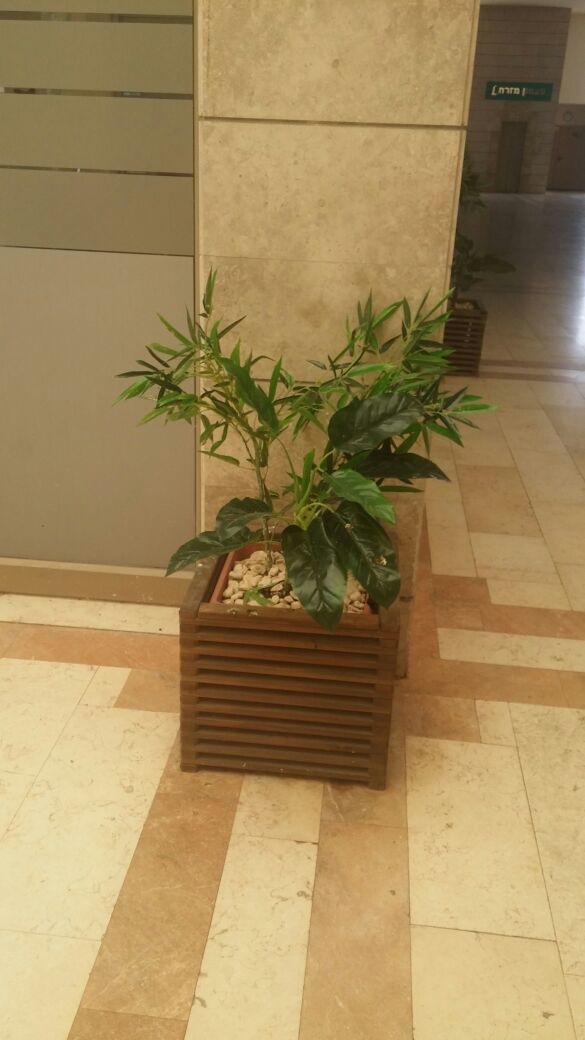 Artificial plants to the business center kfar saba 02