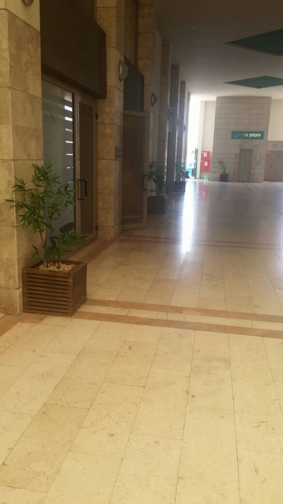 Artificial plants to the business center kfar saba 03