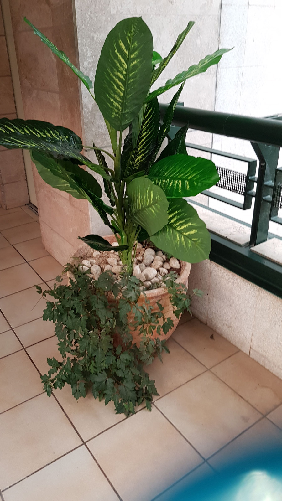 Artificial vegetation with real plants design Kfar Sava 06