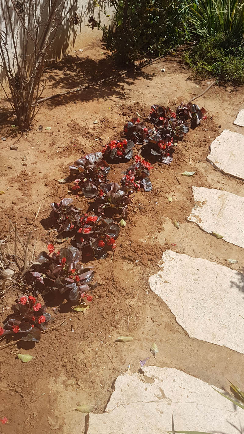 Maintenance of gardens 6