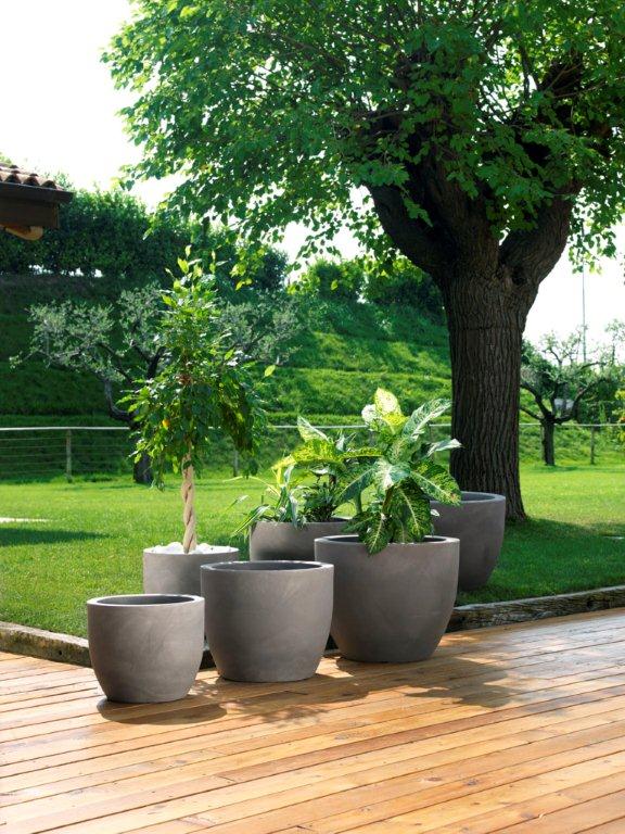 Pitchers for your garden