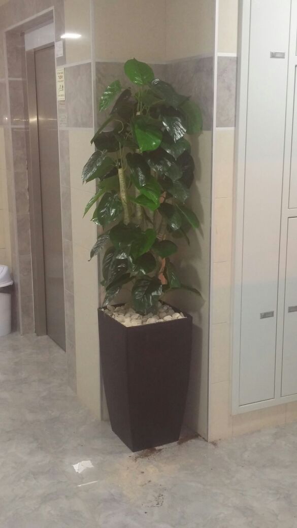 Project artificial plants in the lobby private building 04
