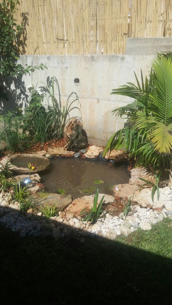 Renovation of an ornamental pond in a private home after