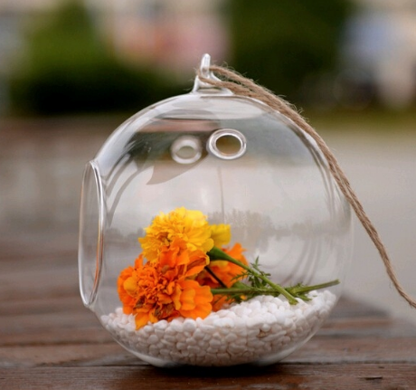 צמח אוויר בכדור מזכוכית לתליה