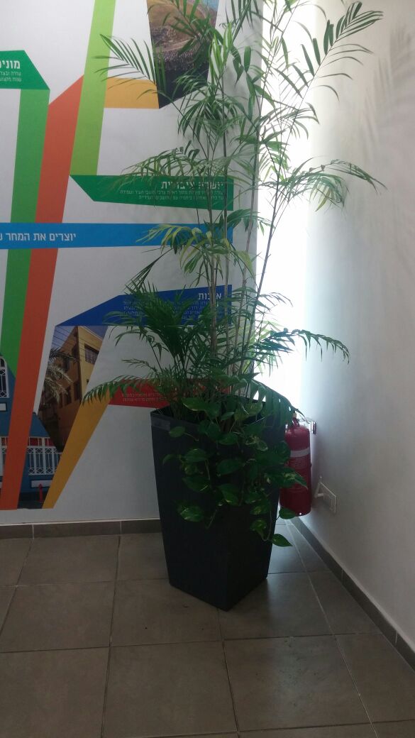 artificial plantation project for offices 04