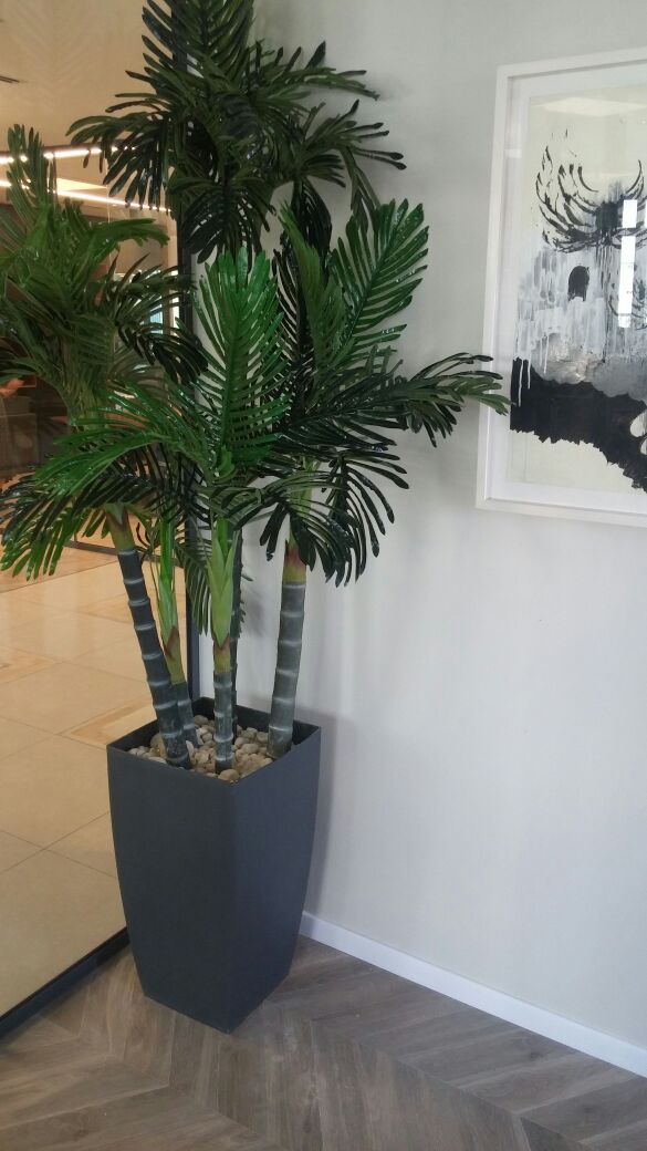 artificial-plants-air-plants-in-law-firm 09