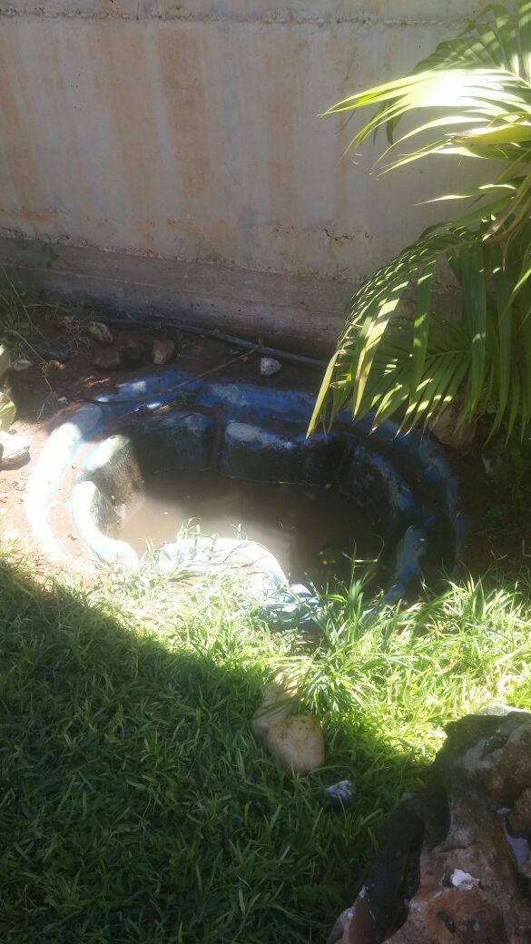 before Renovation of an ornamental pond in a private home