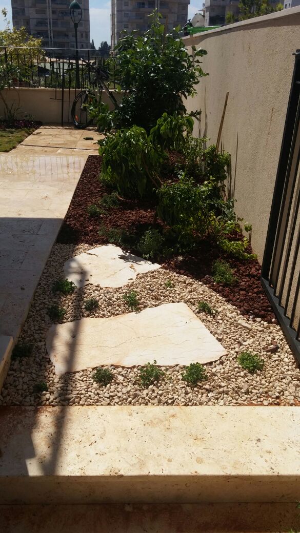 ground-cover-vegetation-stepping-stones 02