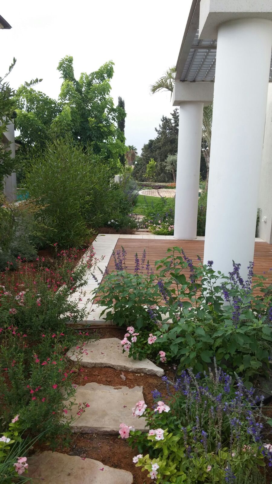 large garden design project in Caesarea 04