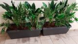 Artificial vegetation with real plants design Kfar Sava 1