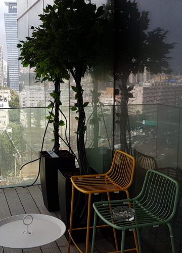 התקנת צמחיה מלאכותית במשרדים בתל אביב