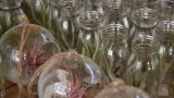 air plants _glass 03