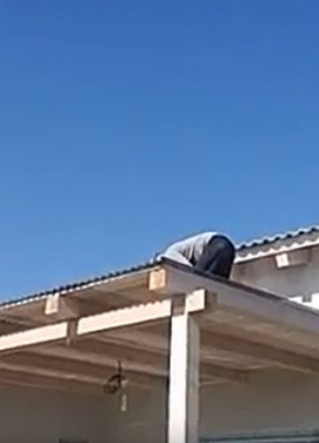 הקמת גינה בתלמי אליעזר
