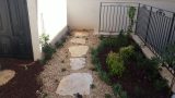 ground-cover-vegetation-stepping-stones 01