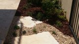 ground-cover-vegetation-stepping-stones 02