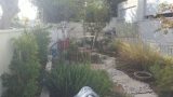 redesigning-an-old-garden-tel-aviv 01